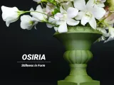 OSIRIA Vase-0
