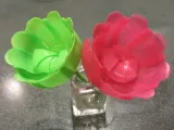 Collapsing Rose-2