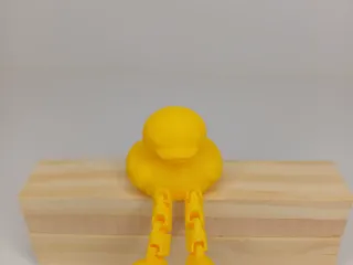 duck with legs
