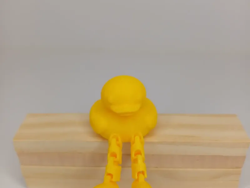 duck with legs