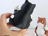 Cat Middle Finger with Surprise Crate-4