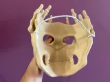 Skeleton-Mask-3