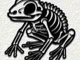 frog skeleton wall art home decor-0