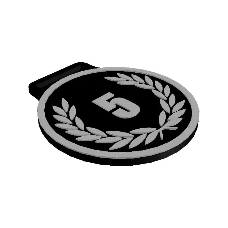 Medalla de Quinto Lugar