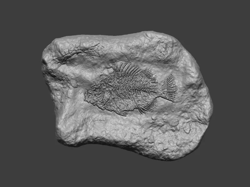 Balık Mineral Fosili - Gerçekçi Basılabilir Reçine