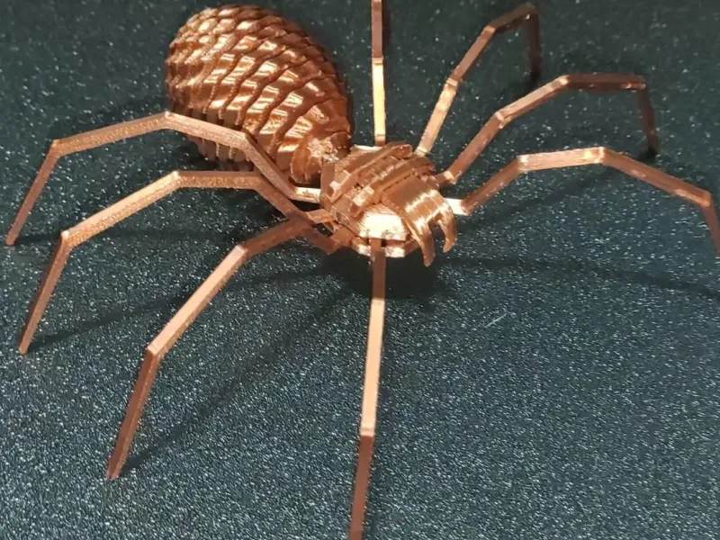 Geometrische Spiraalspin