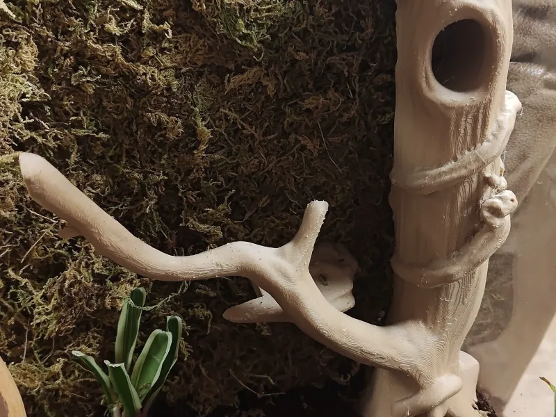 Log or Tree with branch for Terrarium Tank