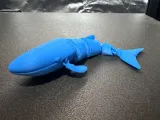 Gelenkwal-4