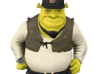 Shrek buchon