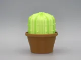 Cactus décor-7