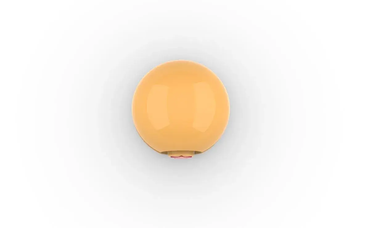 Pokeball Dragonball