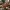 Interlock Grid Architect Band – Noah0x03