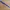 Comb (CR2023 hole)