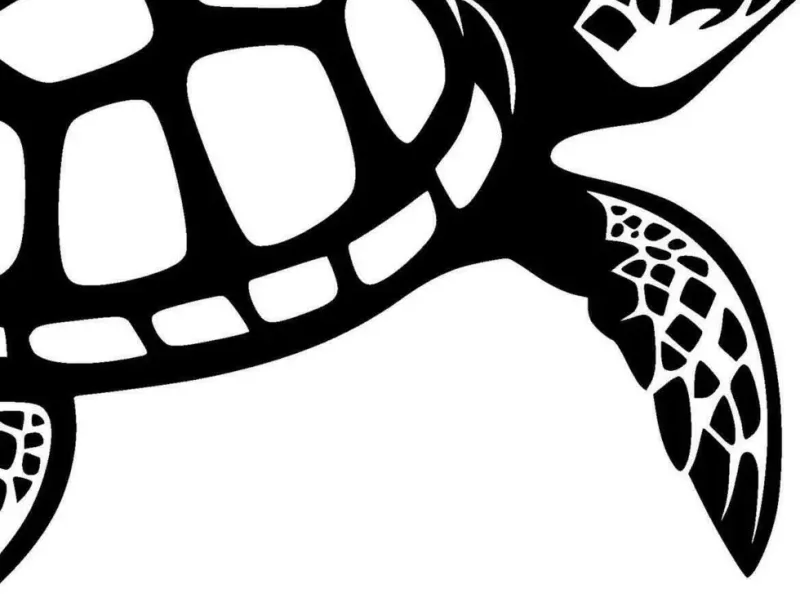 deco tortu
