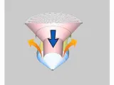 WASTE DRAINS ANTI-ODOR FLOOR DRAIN( NO SUPPORT NEEDED)-4