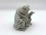Morning Frog-3