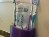 Toothbrush and Toothpaste Holder-0