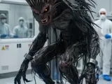Midnight Predator-1