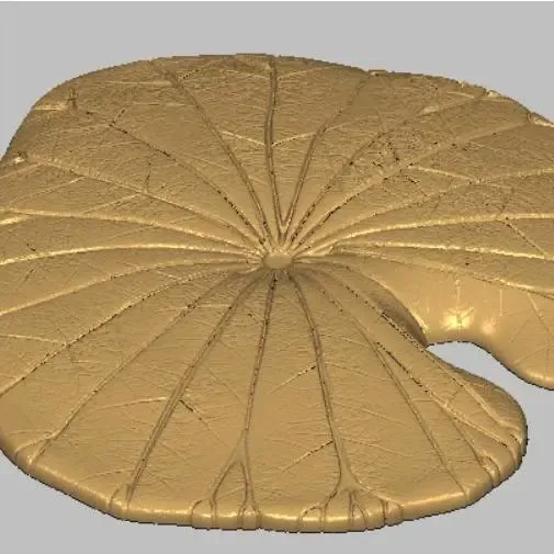 Hoja de loto 3D