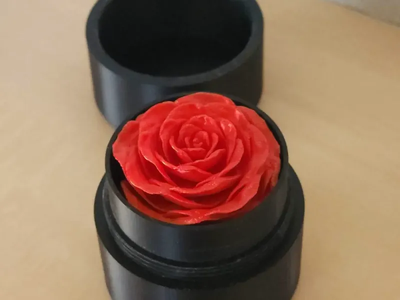 Eternal Rose 2026