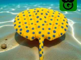 Blue Spotted Ray Mini - Multicolor 3mf included-2