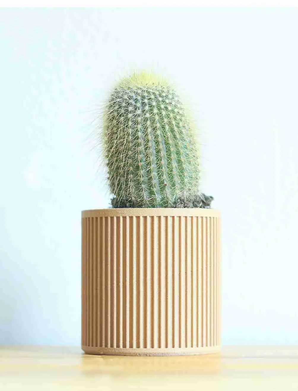 SET OF 4 MINIMAL PLANT POTS FOR SUCCULENTS AND CACTI