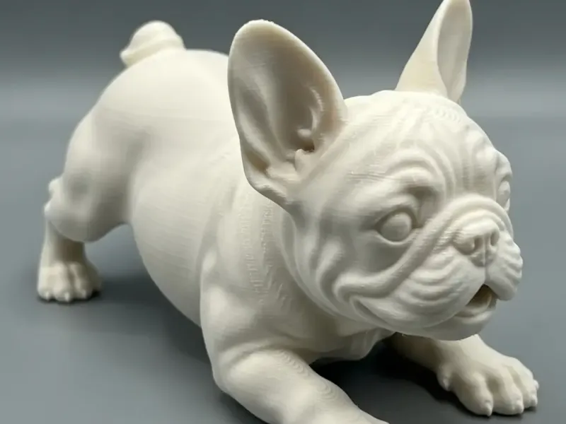 coleção filhotes Bulldog frances / puppys Bulldog franch