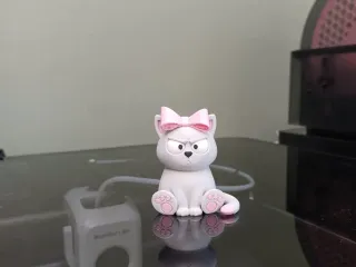Cute Angry Cat