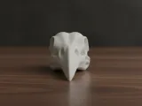 Modello di Teschio di Uccello per la Stampa 3D-2