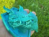 Dragon Guardian Shield-2
