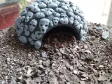 aquarium cave-1