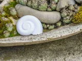 Shell of a snail decoration object-2