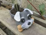 SCHNAUZER POT-4