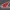 Honda Motorcycles keychain - llavero