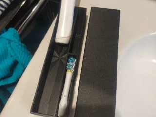 oral B electric toothbrush travel case