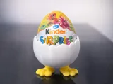 Hatching Egg Holder-1