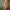 Classic Realistic Christmas Elf with Candy Cane Figurine