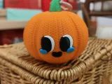 Knitted pumpkin-beibei（编织南瓜贝贝）-2