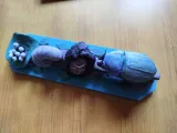 Life Cycle of a Beetle – Educational Dung Beetle Metamorphosis-2