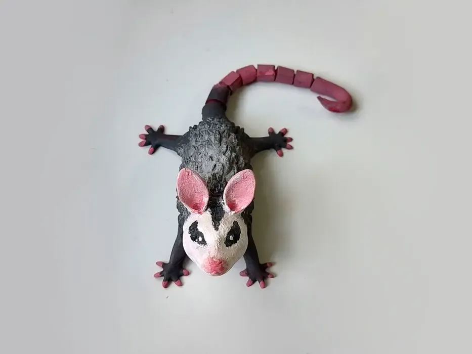 Hanging opossum