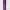 roller texture los ternurines