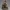 Brunna Ironforge – Master Blacksmith Edition