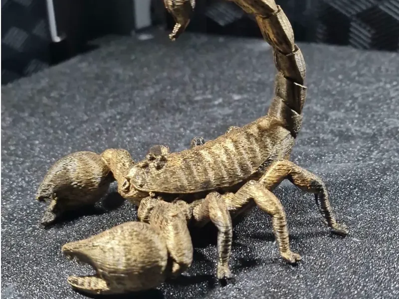 scorpion detailed model