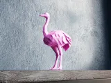 Low Poly Ostrich-1