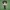 Funko oficial Gordillo