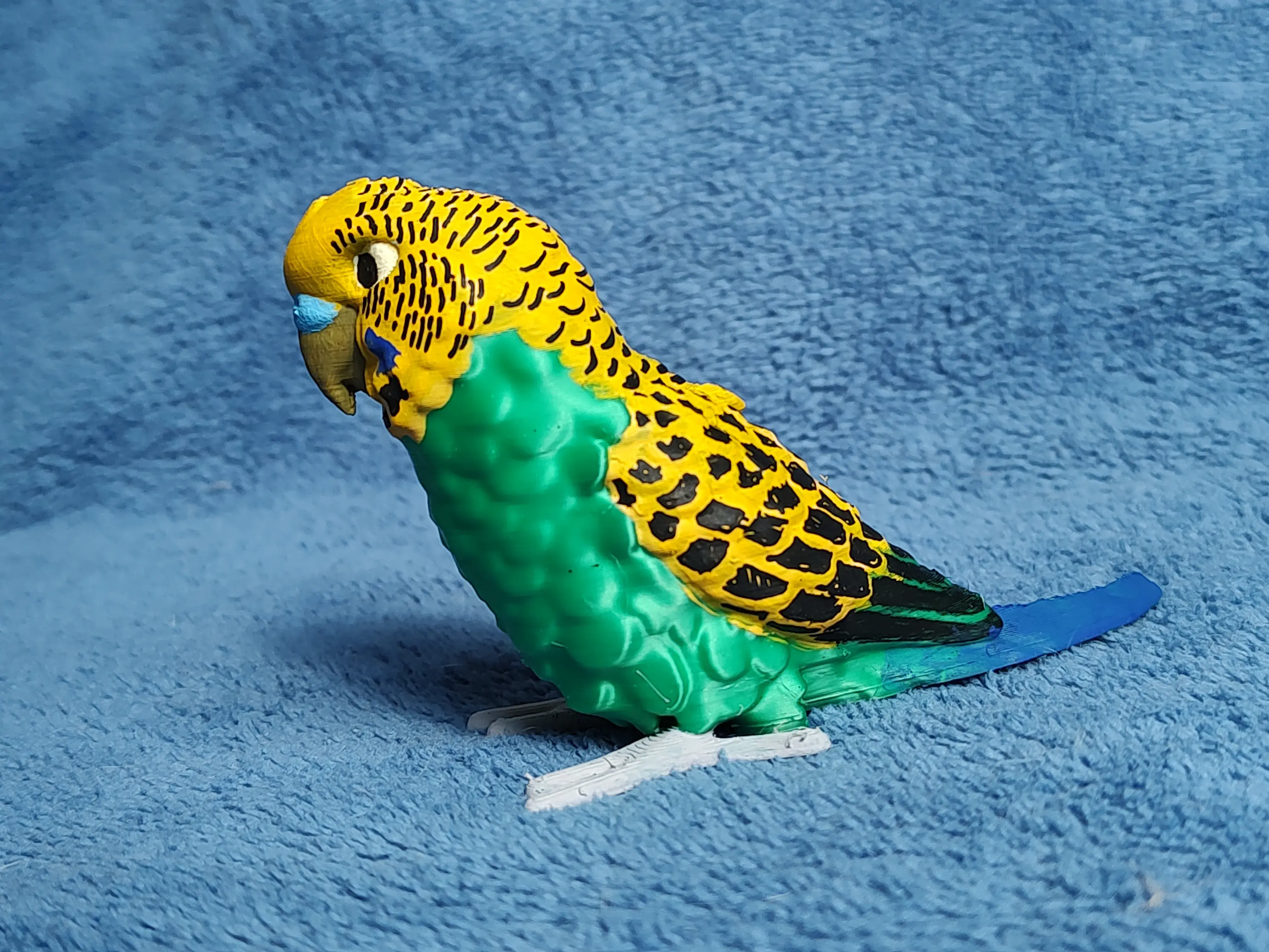 Budgie | 3D models download | Creality Cloud