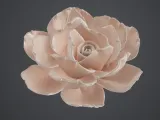 fleur-1