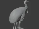 Cassowary-2