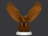 American Eagle-3