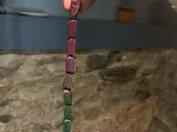 Snaky the snake-3